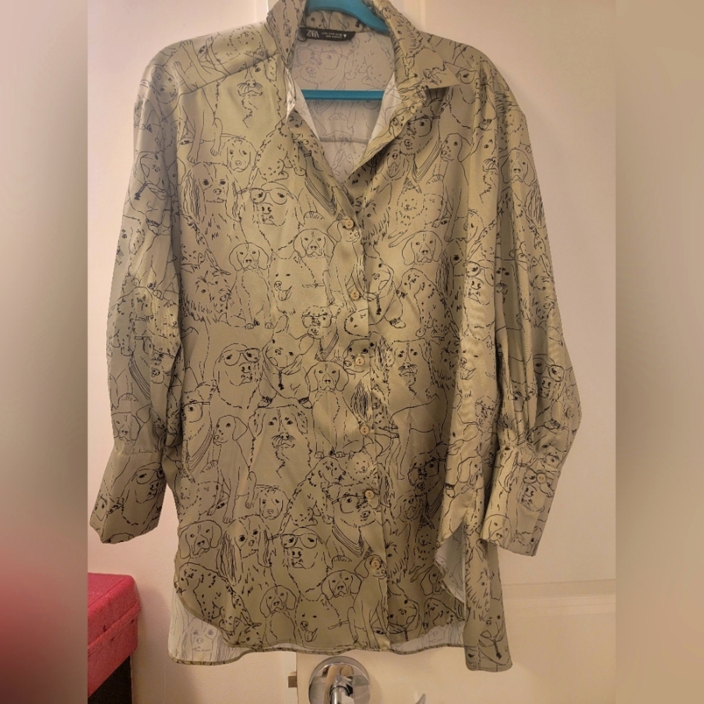 Zara dog over size blouse